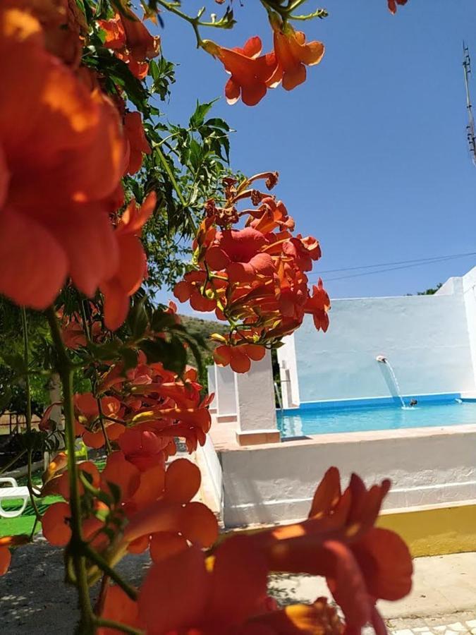 Quinta Da Ponte Das Hortas 3 Elvas Εξωτερικό φωτογραφία
