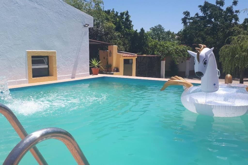 Quinta Da Ponte Das Hortas 3 Elvas Εξωτερικό φωτογραφία